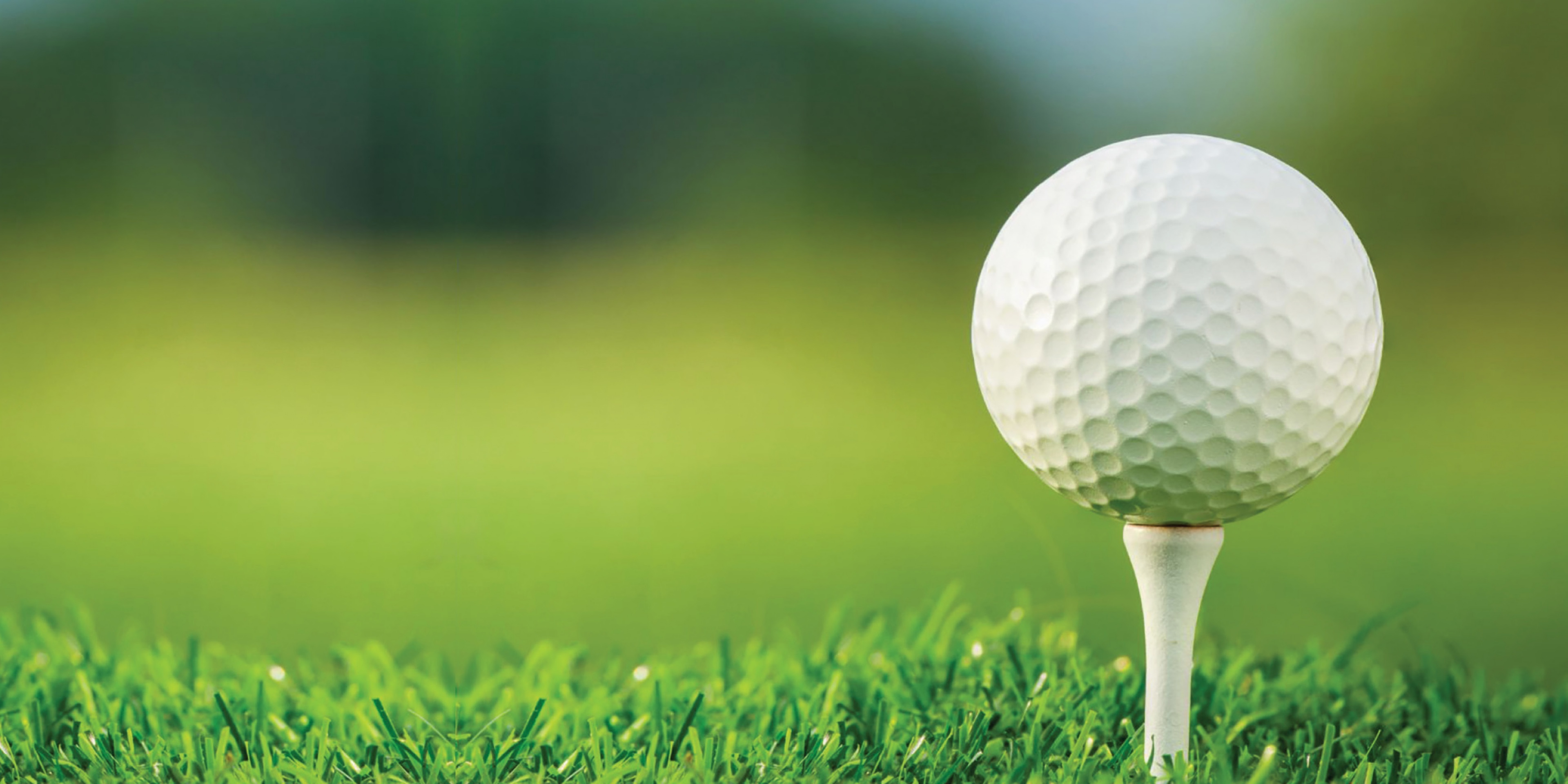 Fonds national juif du Canada | Le Fonds national juif du Canada, avec le soutien de nos donateurs et bénévoles à travers le pays, jette les bases de l'avenir d'Israël.