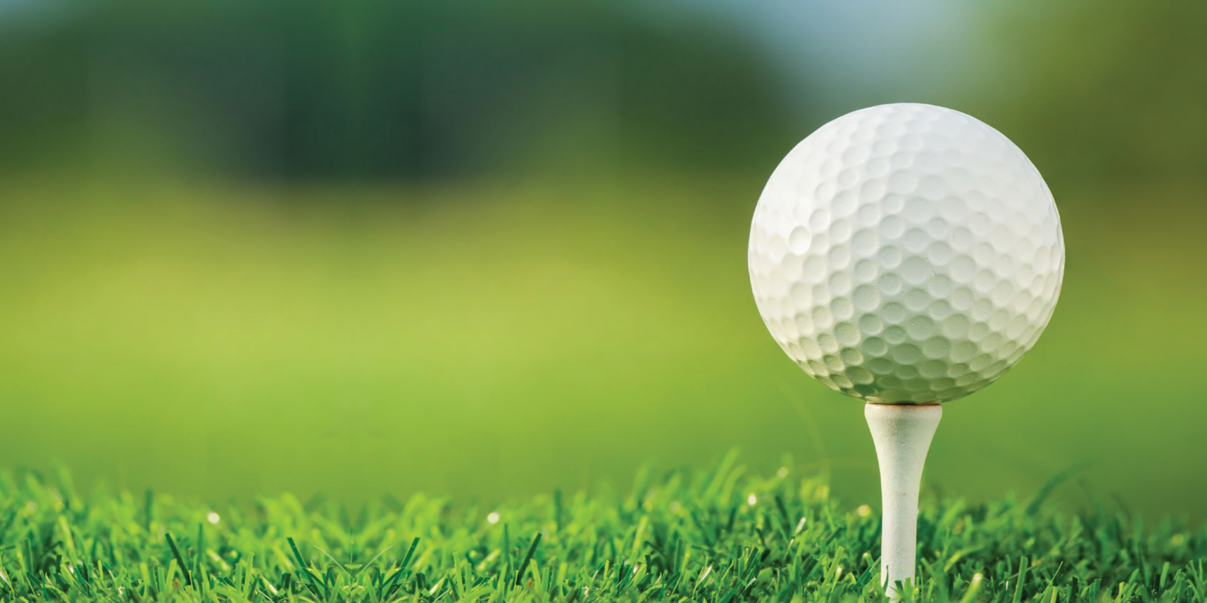 Fonds national juif du Canada | Le Fonds national juif du Canada, avec le soutien de nos donateurs et bénévoles à travers le pays, jette les bases de l'avenir d'Israël.