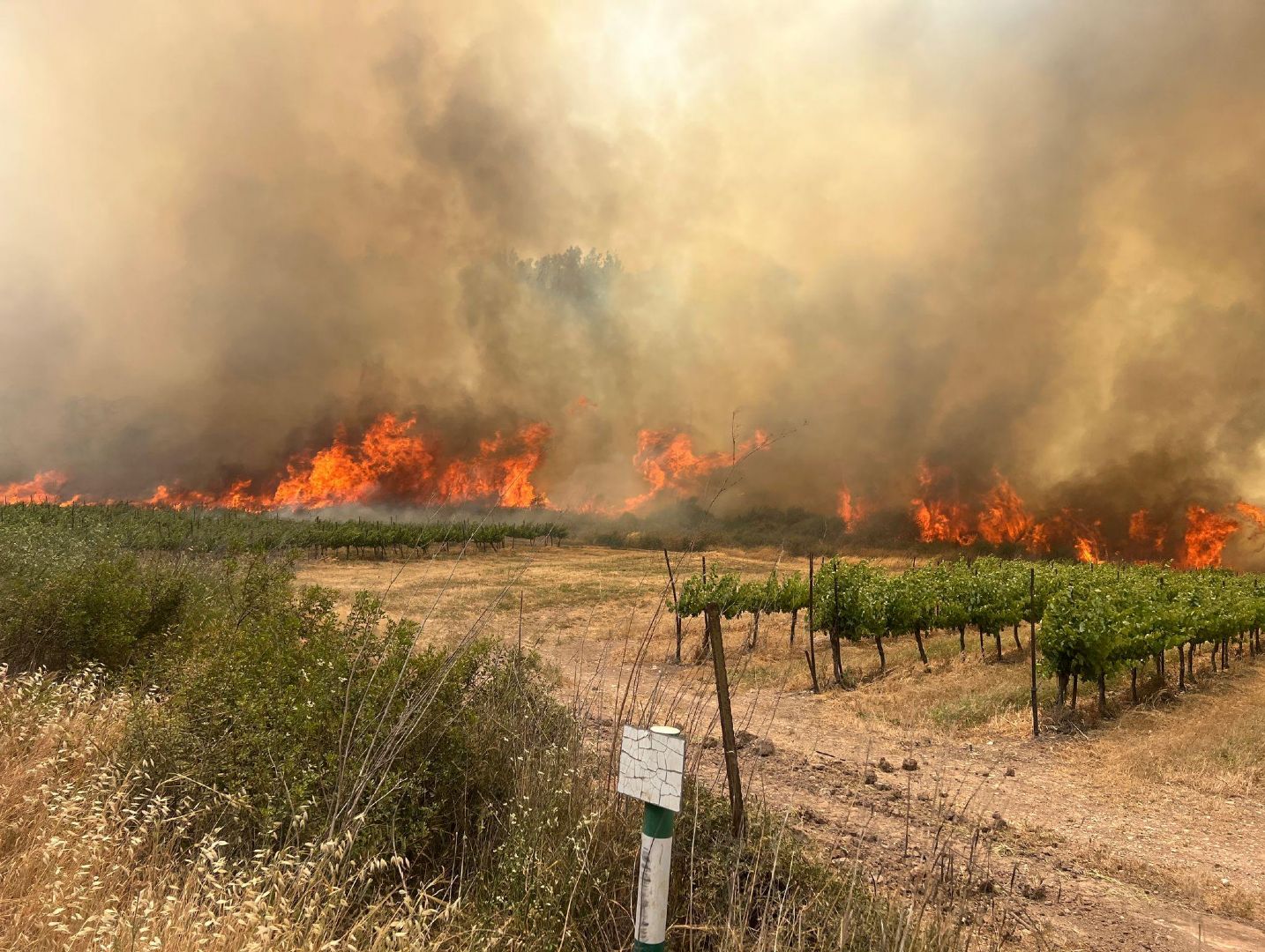 Fires in Central Israel
